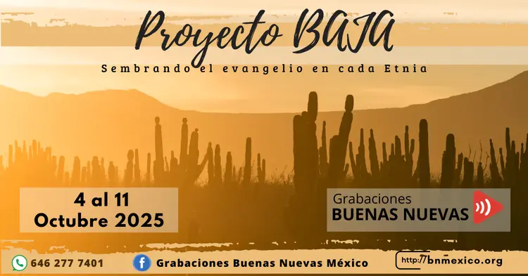 Proyecto Baja 2025
